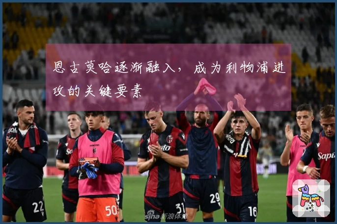 恩古莫哈逐渐融入，成为利物浦进攻的关键要素