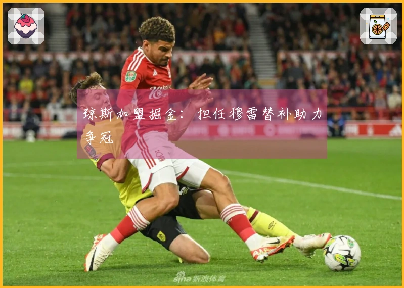 琼斯加盟掘金：担任穆雷替补助力争冠